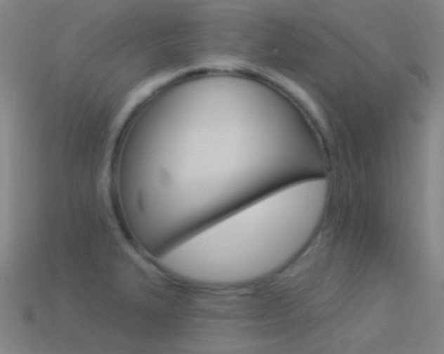 X0000114531327200910191002