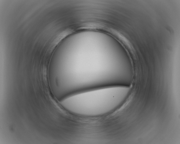 X0000114531329200910191002