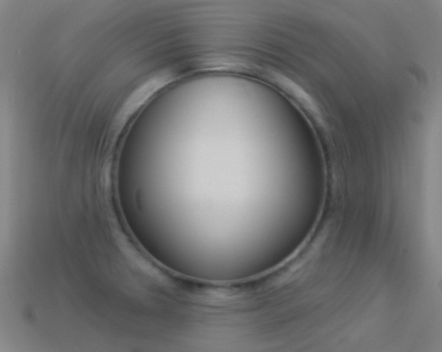 X0000114531330200910191002