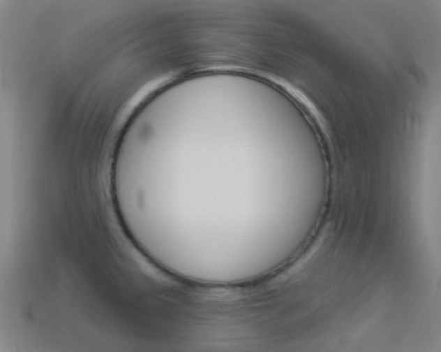 X0000114531333200910191002