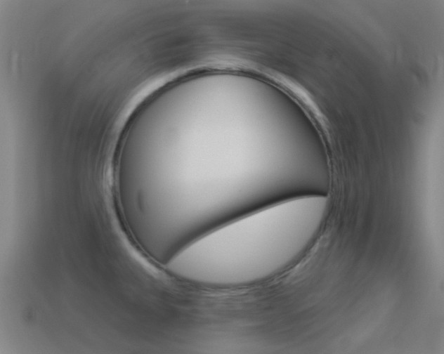 X0000114531335200910191002