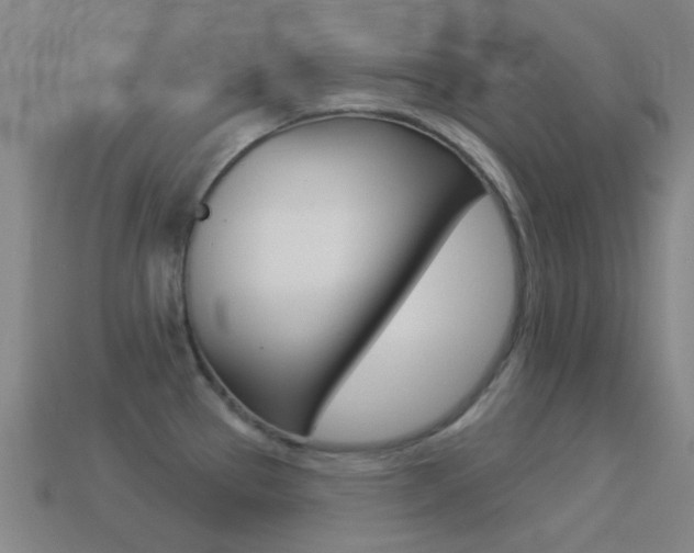 X0000114531337200910191002