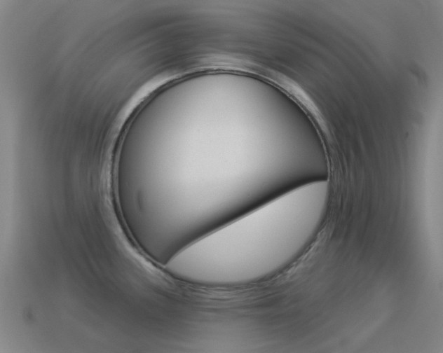 X0000114531339200910191002