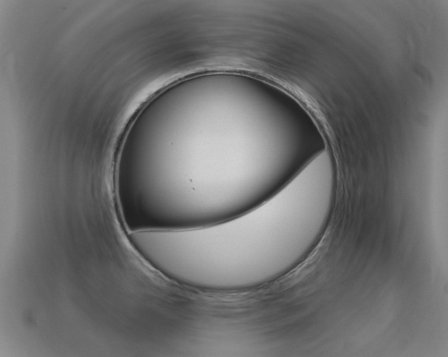 X0000114531342200910191002