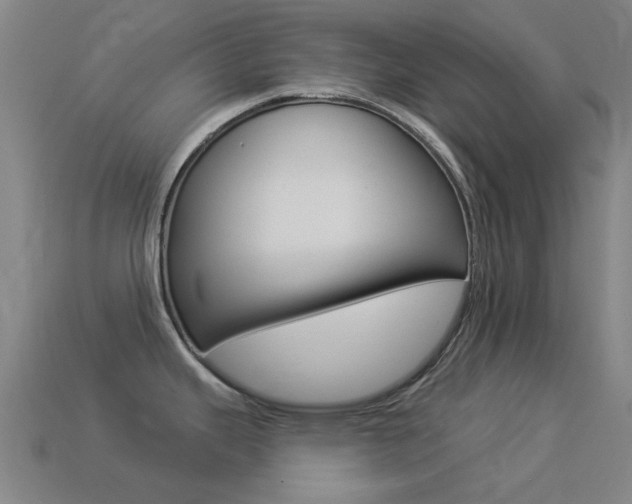 X0000114531343200910191002