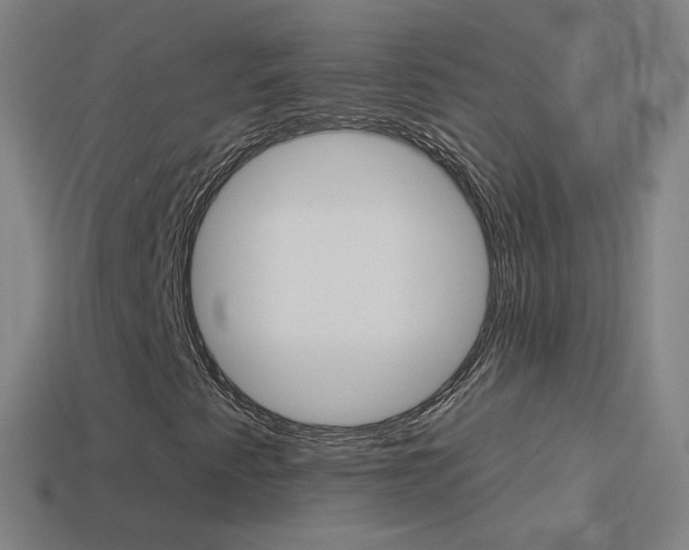 X0000114531345200910191002