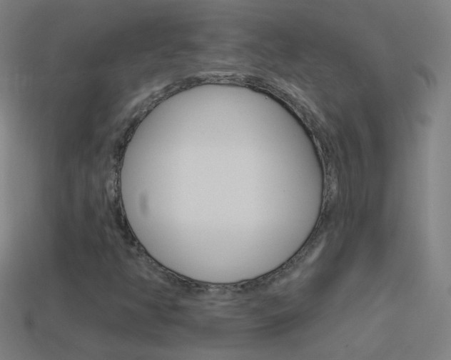 X0000114531350200910191002
