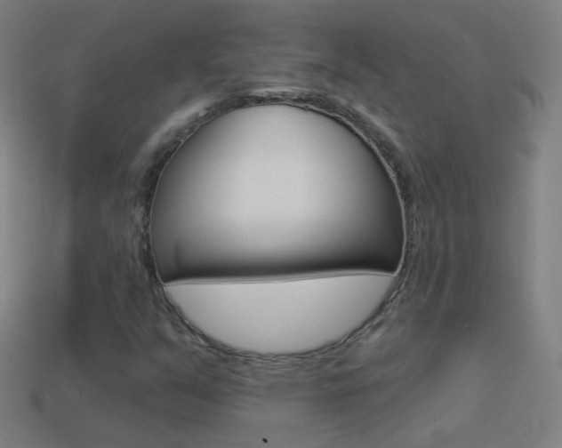 X0000114531351200910191002