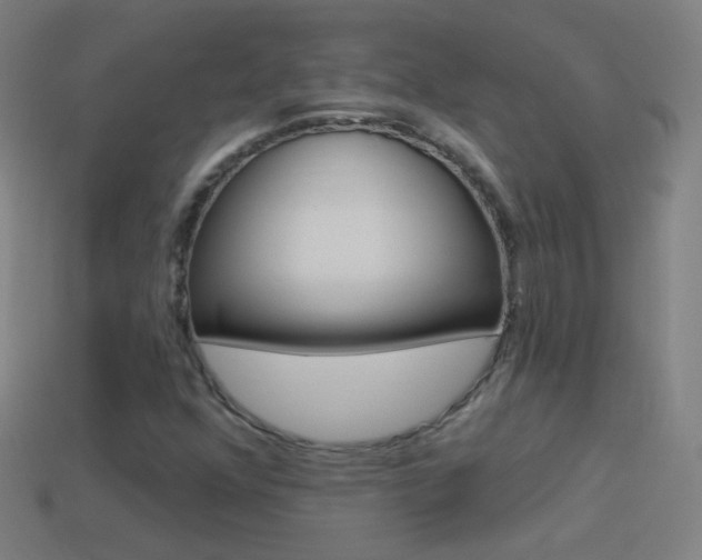 X0000114531352200910191002