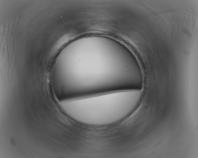 X0000114531355200910191002