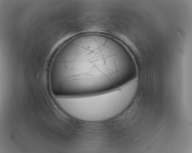 X0000114531356200910191002