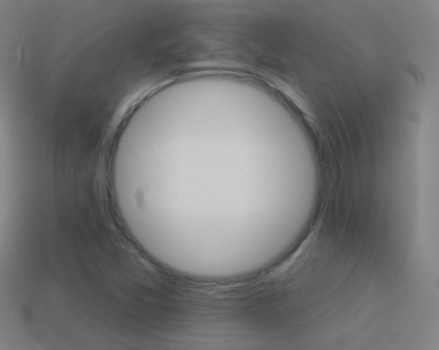 X0000114531357200910191002
