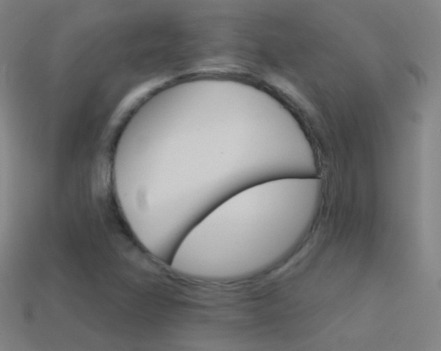 X0000114531358200910191002