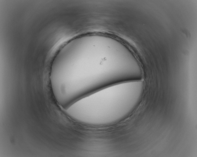 X0000114531359200910191002
