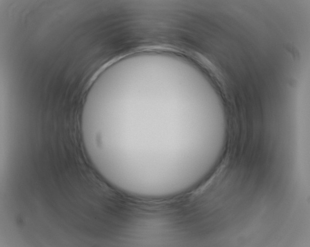 X0000114531361200910191002
