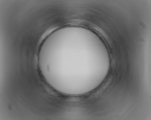 X0000114531362200910191002