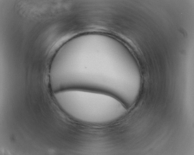 X0000114531363200910191002