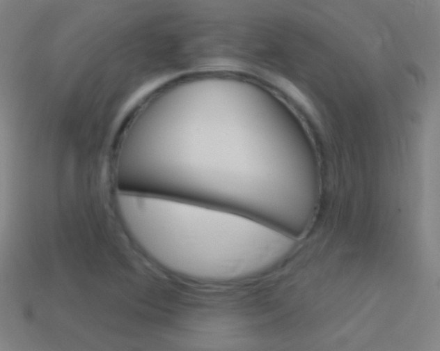 X0000114531364200910191001