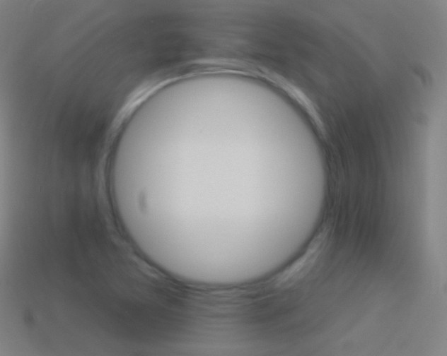 X0000114531365200910191001