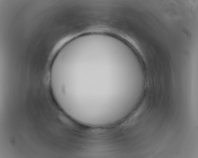 X0000114531366200910191001