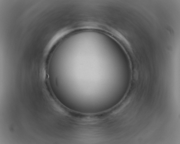 X0000114531368200910191001
