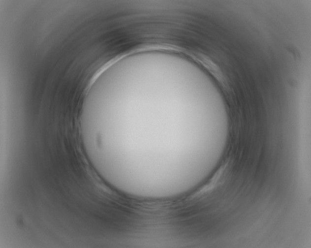 X0000114531369200910191001