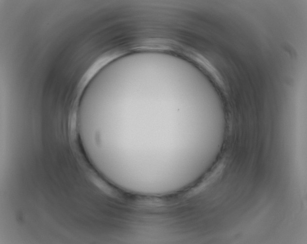 X0000114531370200910191001