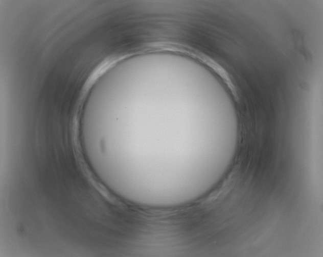X0000114531373200910191001