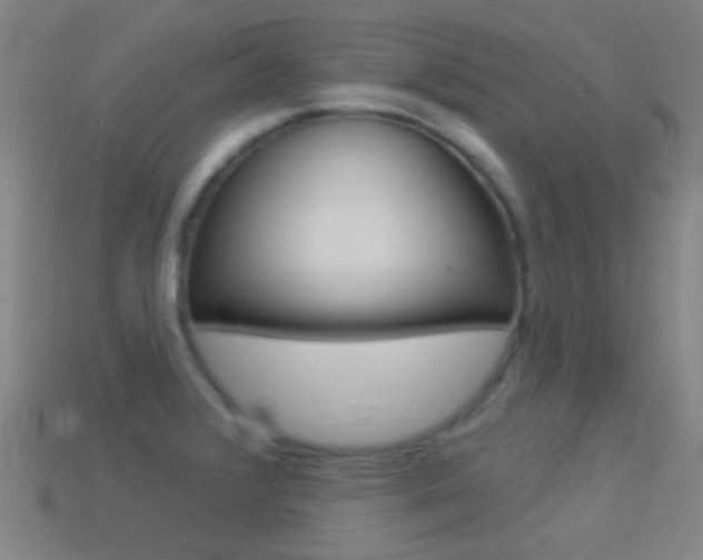 X0000114531376200910191001