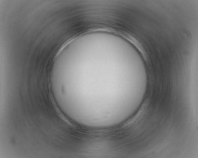 X0000114531377200910191001