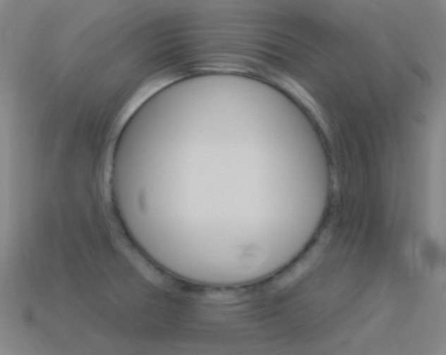 X0000114531378200910191001