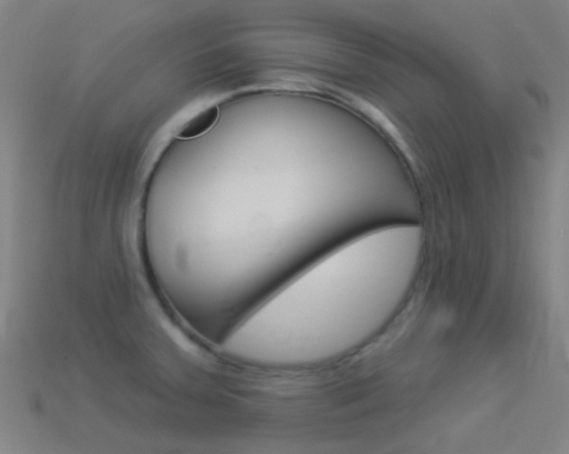 X0000114531379200910191001
