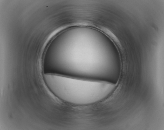 X0000114531380200910191001