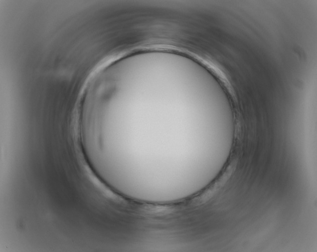 X0000114531382200910191001