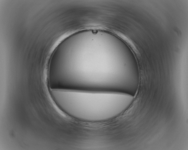 X0000114531383200910191001