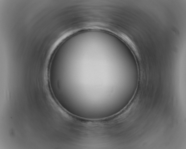 X0000114531384200910191001