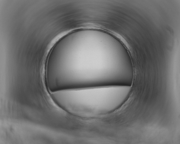 X0000114531387200910191001