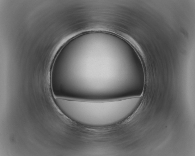 X0000114531388200910191001