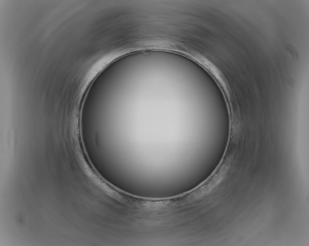 X0000114531389200910191001