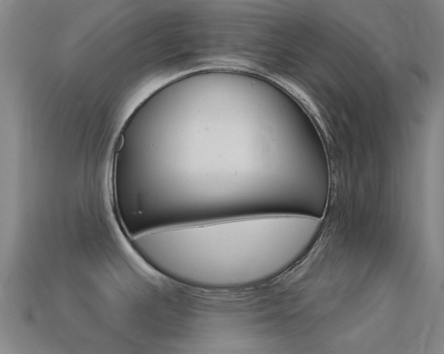 X0000114531391200910191001