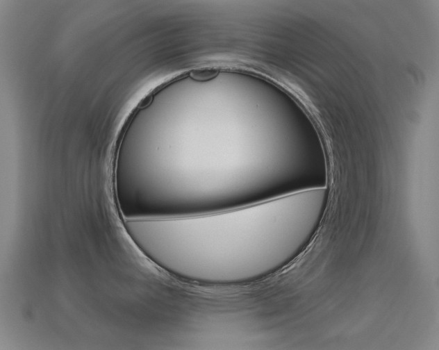 X0000114531392200910191001