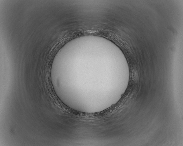 X0000114531393200910191001