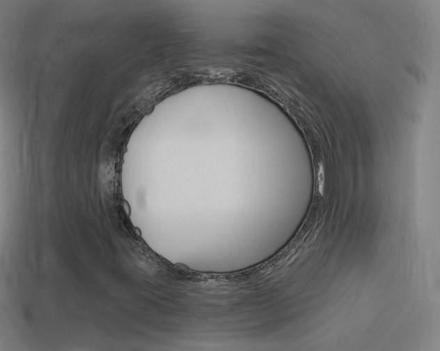 X0000114531395200910191001