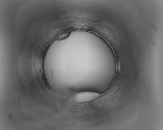 X0000114531396200910191001
