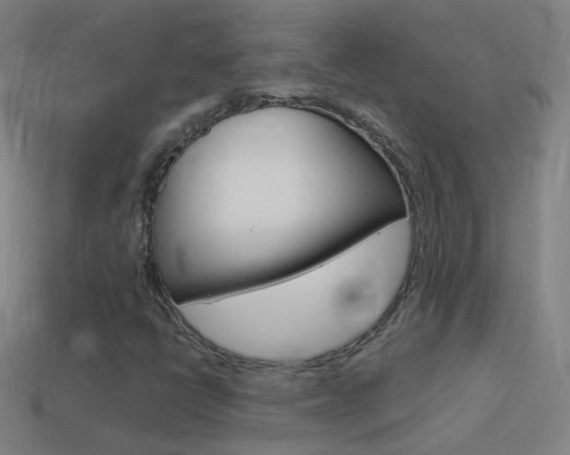 X0000114531398200910191001