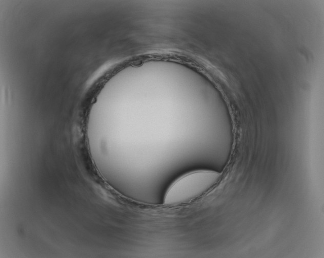 X0000114531400200910191001