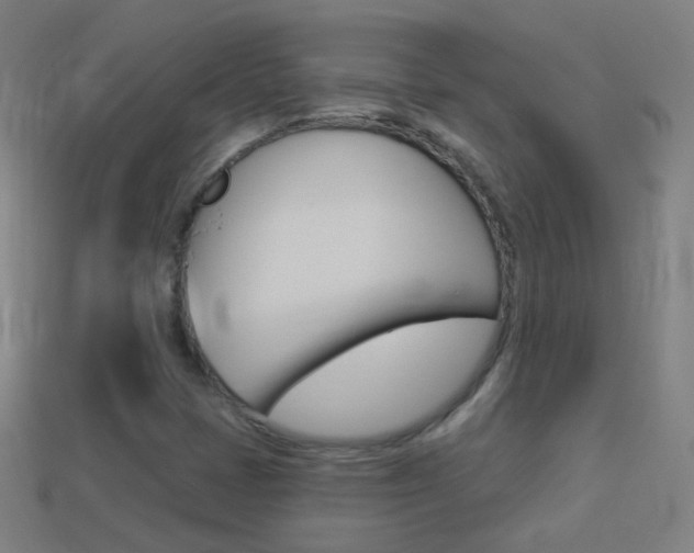 X0000114531401200910191001