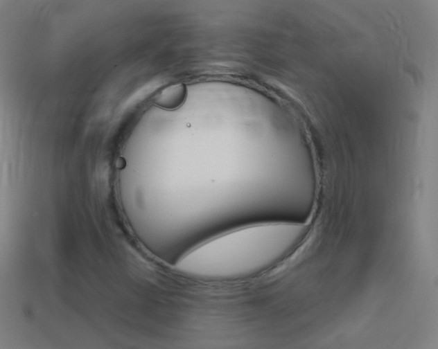X0000114531402200910191001