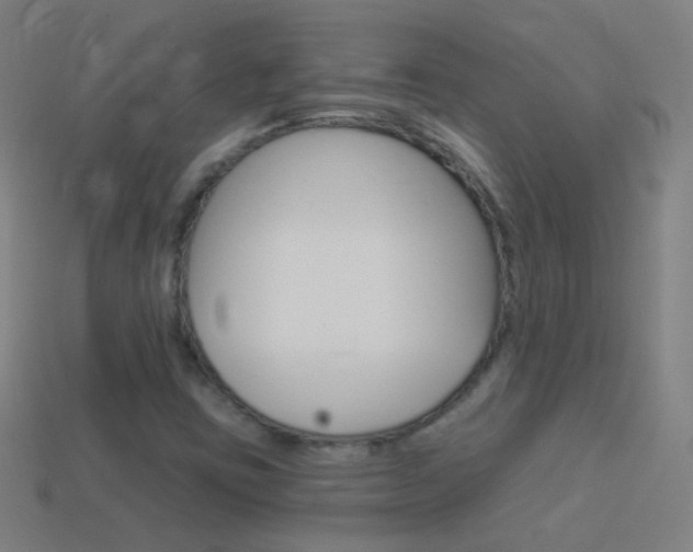 X0000114531403200910191001