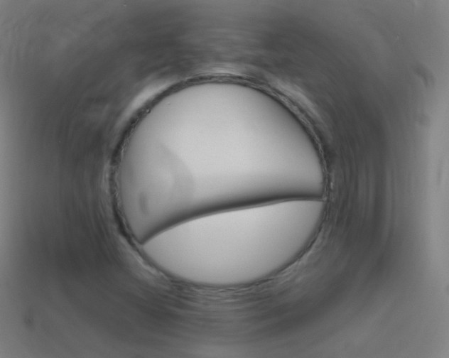 X0000114531404200910191001